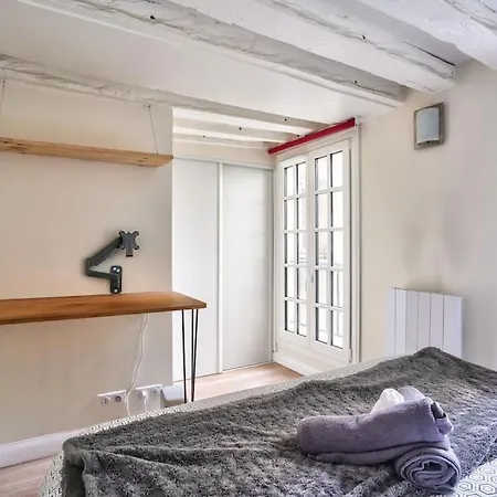 Superb 2 Bedroom Flat In Le Marais Neighborhood * Paříž